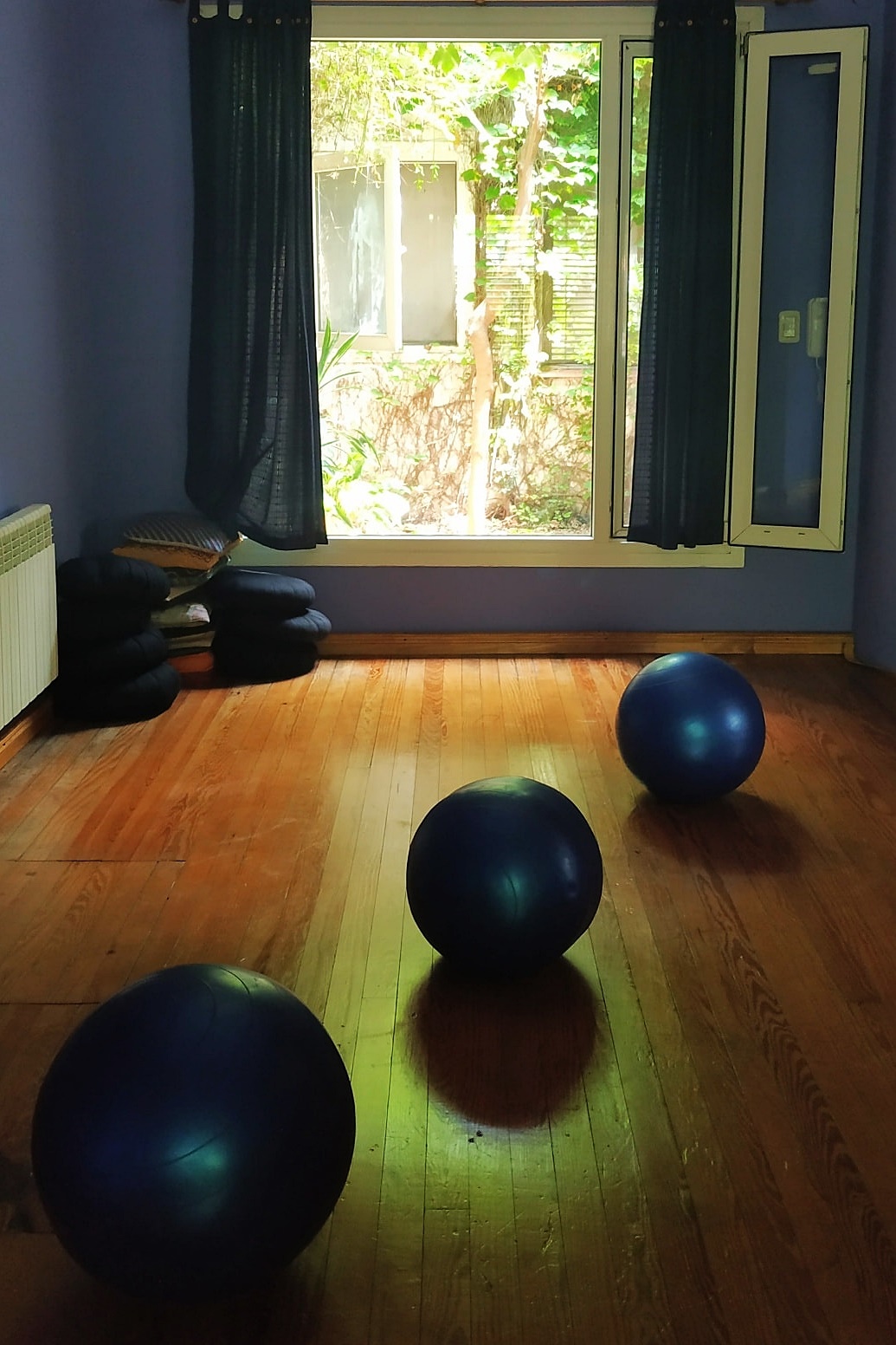 Sala de yoga de La Luna Sobre el Puente